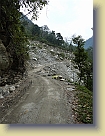 Sikkim-Mar2011 (196) * 2736 x 3648 * (5.09MB)